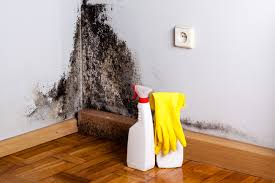 Best Mold Removal for HVAC Installations  in North Decatur, GA